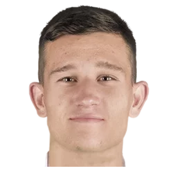 Daniel Stefulj