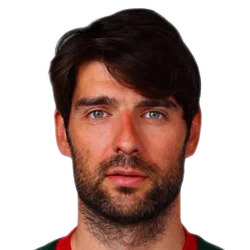 Vedran Corluka