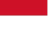 Indonesia football