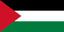 Palestinian football