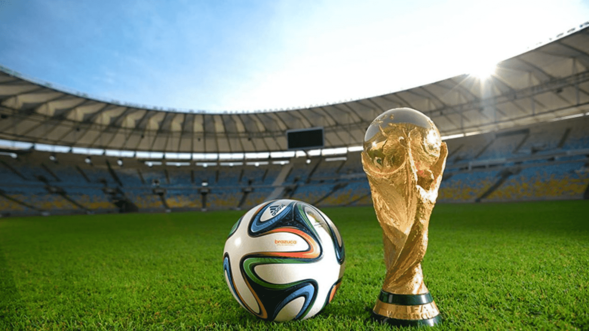 Competiciones FIFA, Mis Datos de Fútbol