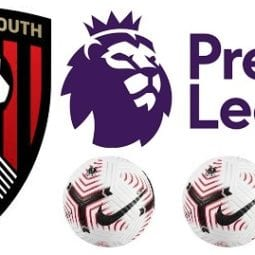 AFC Bournemouth Premier League Goalscorers
