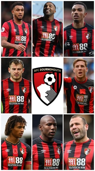 Premier League Goals for AFC Bournemouth