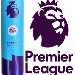 Premier League Player of the Month