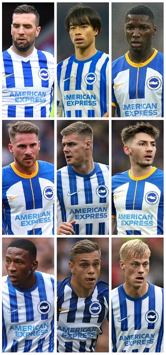 Brighton & Hove Albion most International Caps won